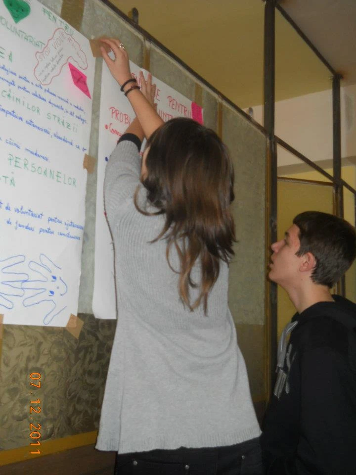 495368005 9831744013607782 5053914231132135770 N