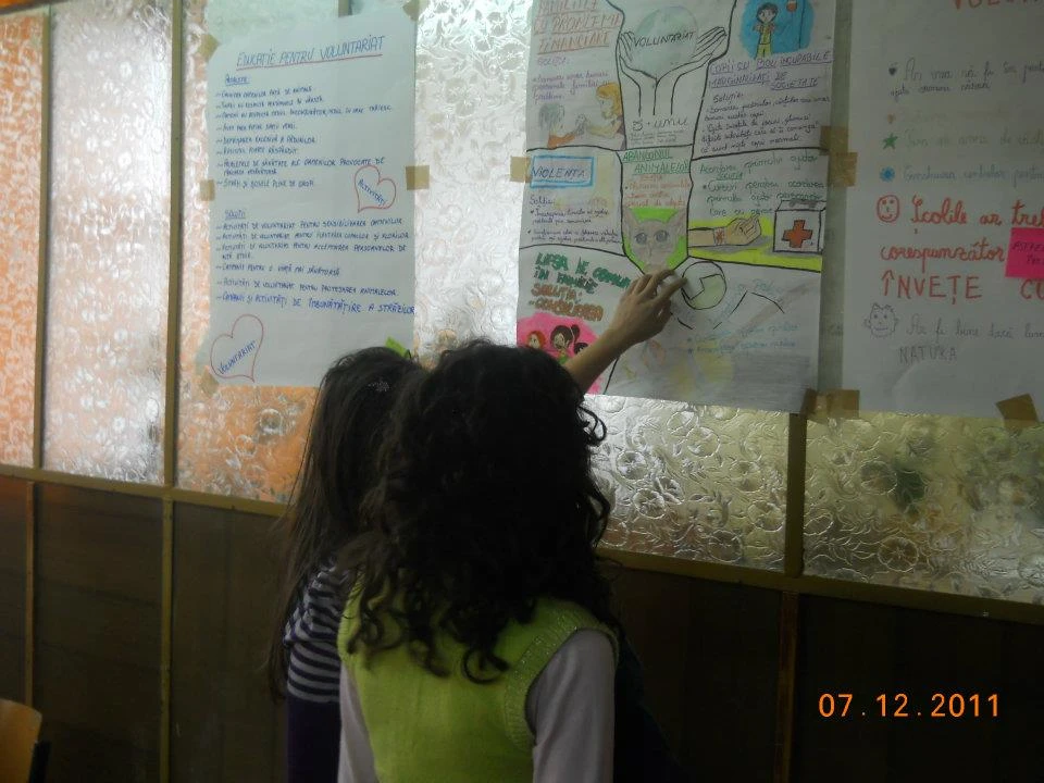 495382723 9831743840274466 6534802309069550799 N