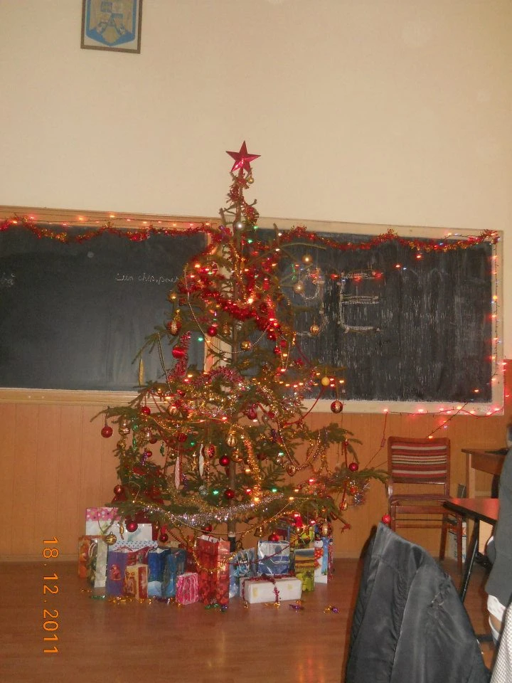 497603404 9859447117504138 3798096354704523279 N