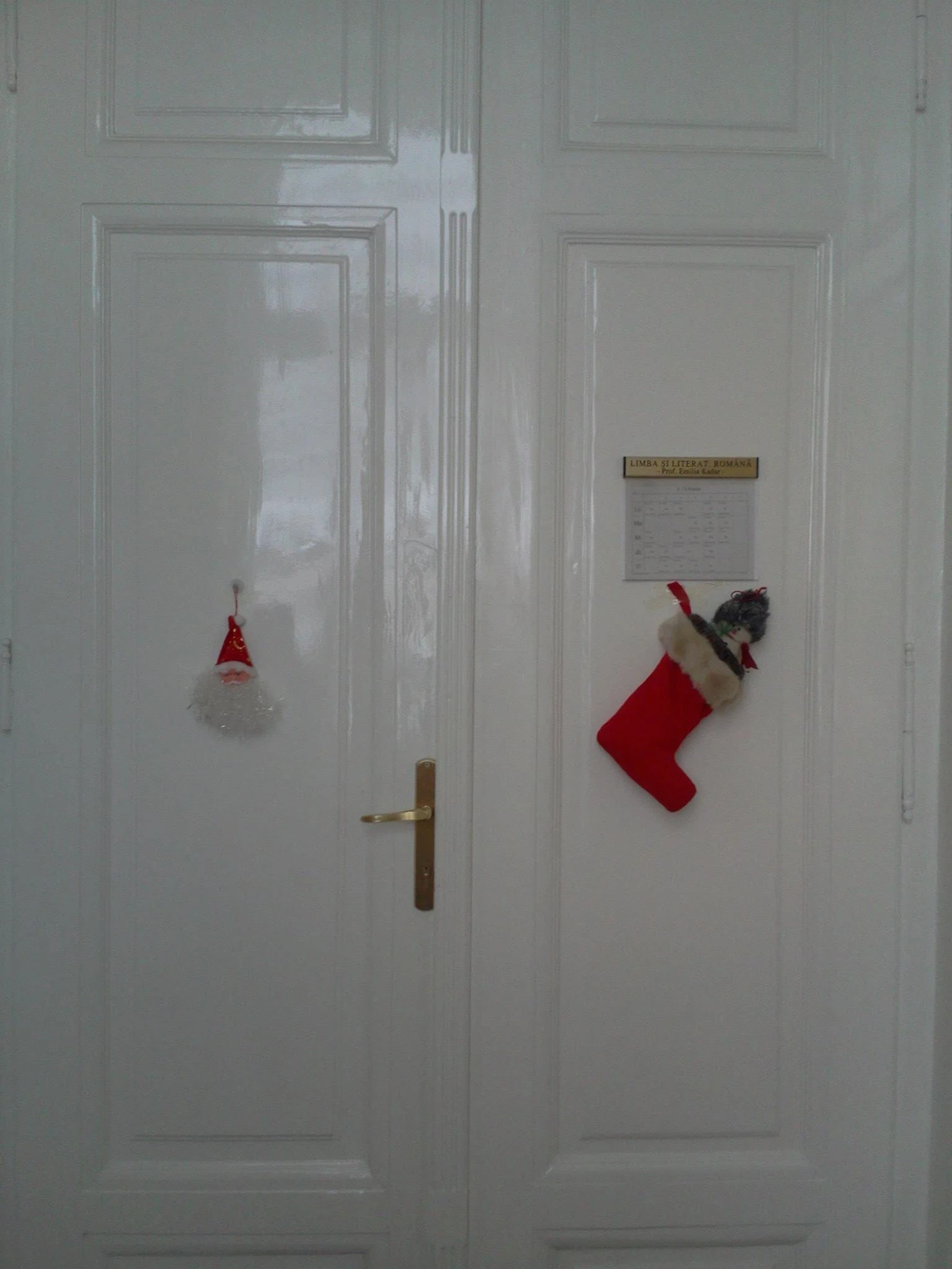 503365462 10007999852648863 1864317366355961964 N