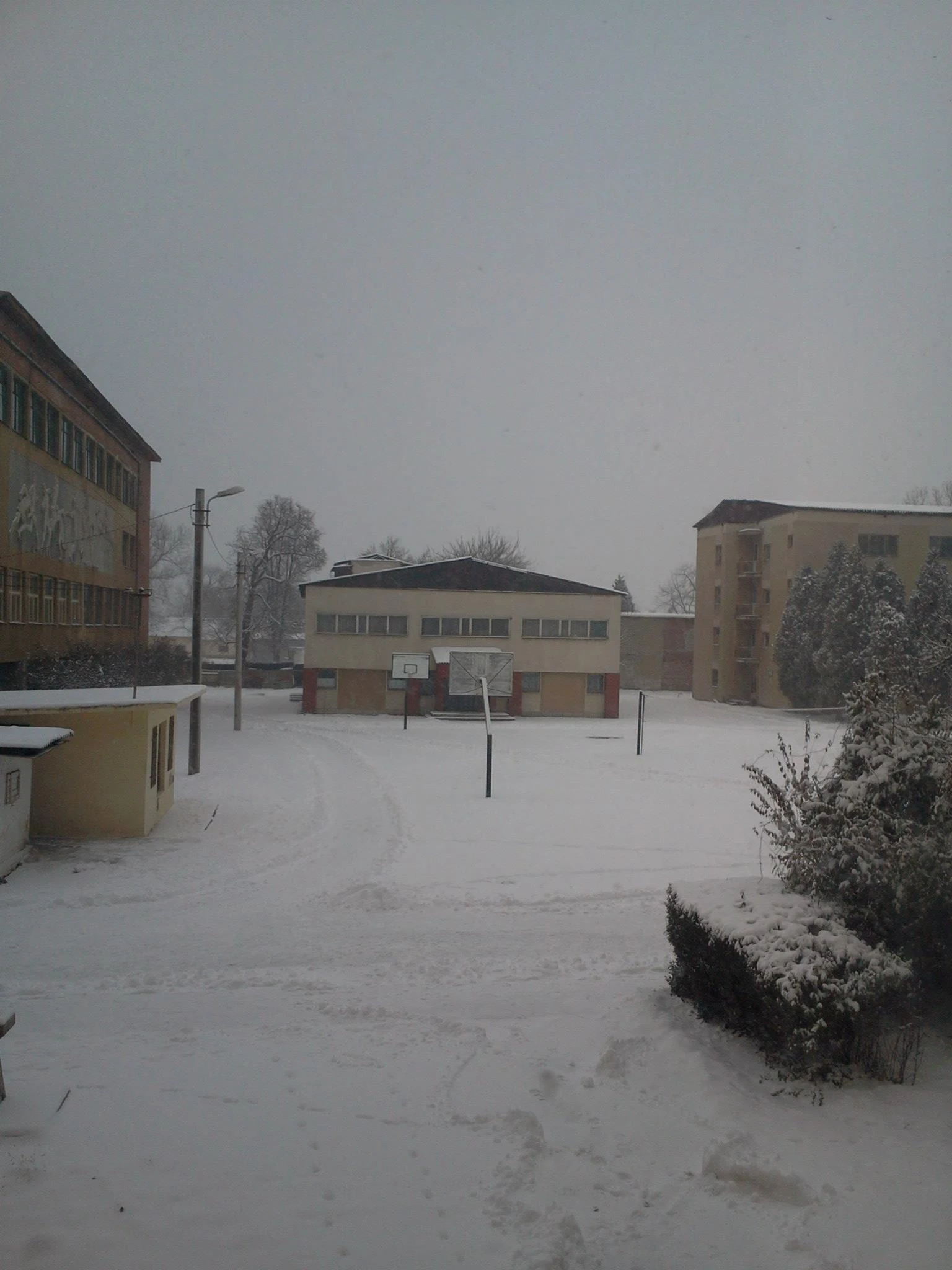 503478899 10007999872648861 324202127662637600 N